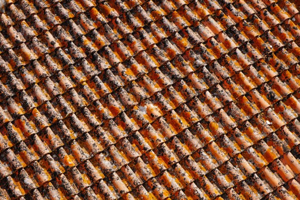 Roof Inspection